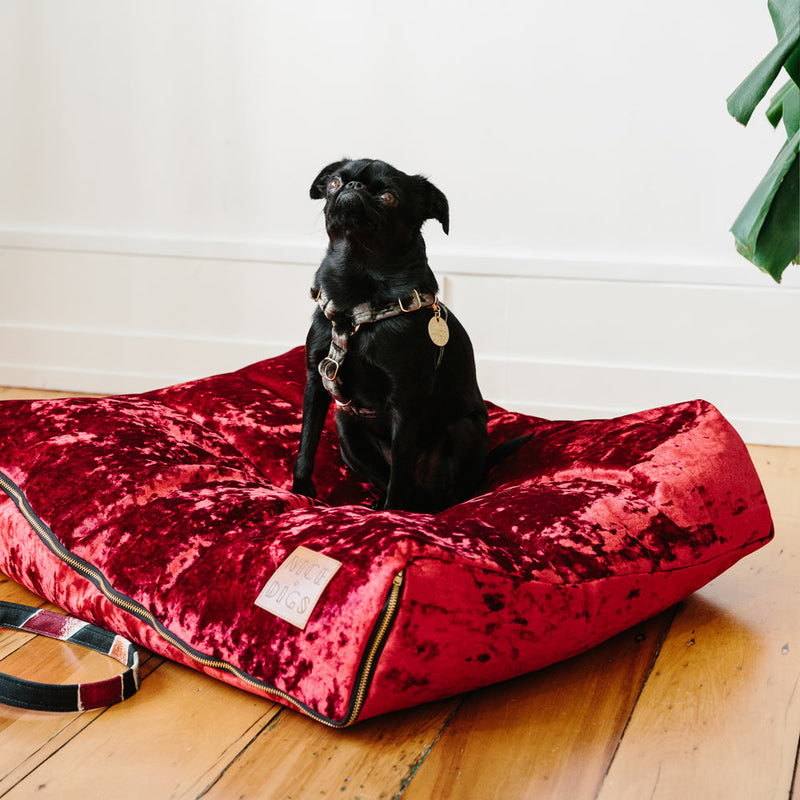 Velvet Non-Pull Dog Harness - Sage