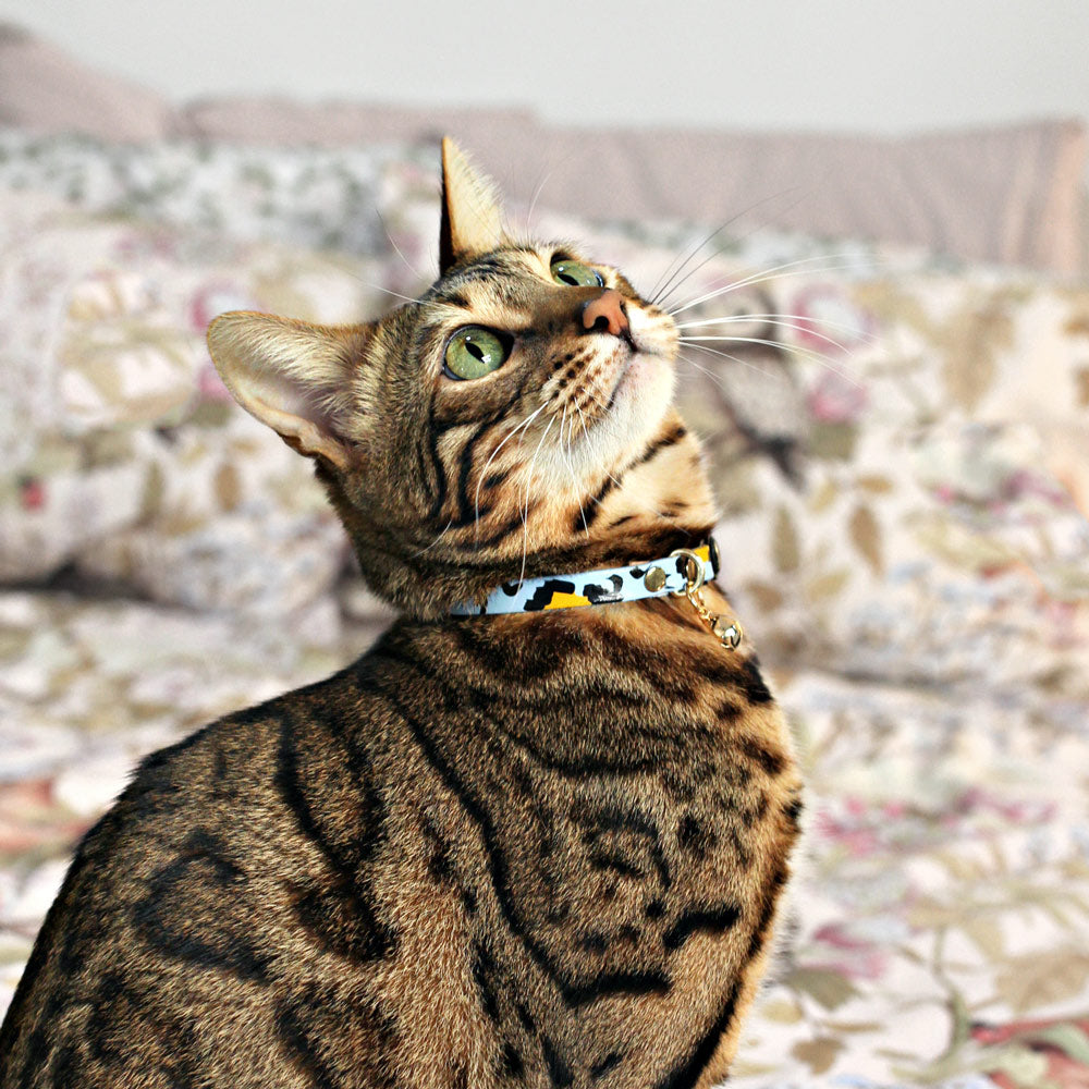 Animal Leather Cat Collar - Sky