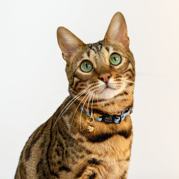Animal Leather Cat Collar - Sky