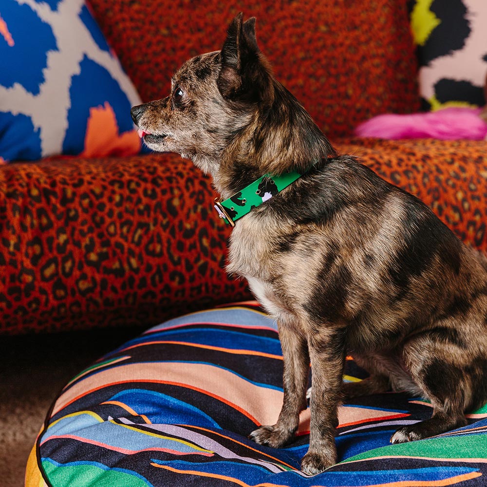 Animal Leather Dog Collar - Green