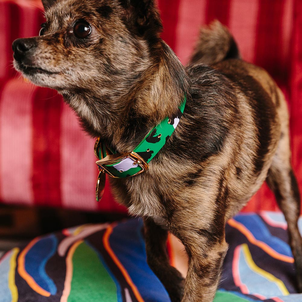 Animal Leather Dog Collar - Green