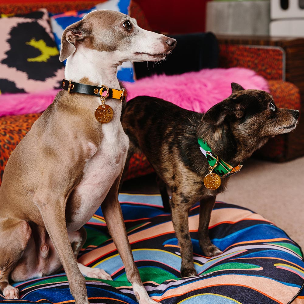 Animal Leather Dog Collar - Green