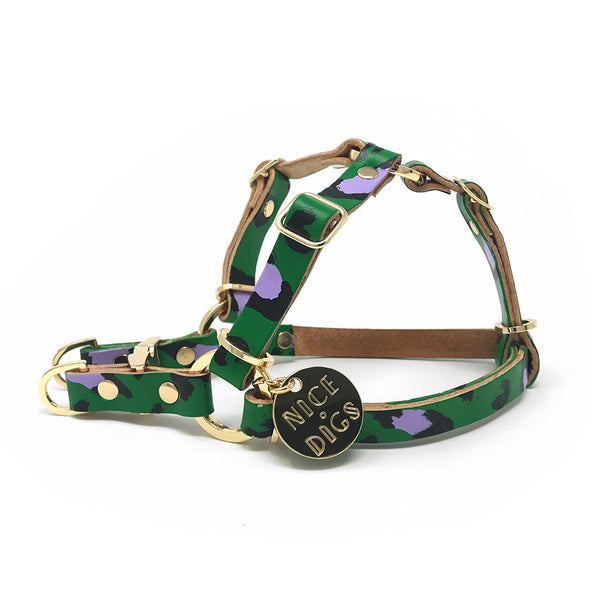Animal Leather Non-Pull Dog Harness - Green