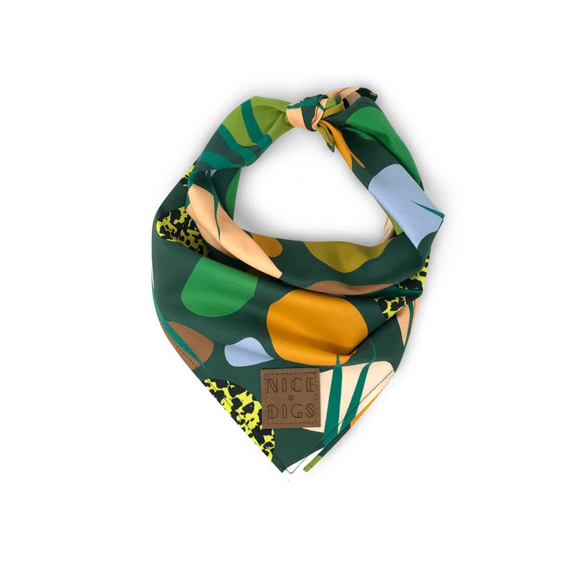 Boulder Canyon Bandana - Moss