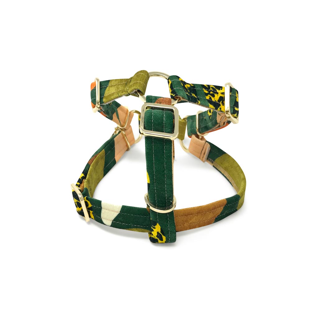 Boulder Canyon Printed Non-Pull Dog Harness - Moss