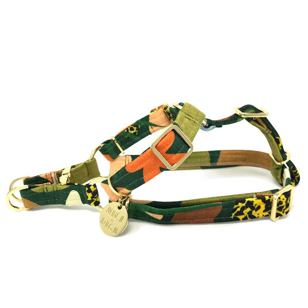 Boulder Canyon Printed Non-Pull Dog Harness - Moss