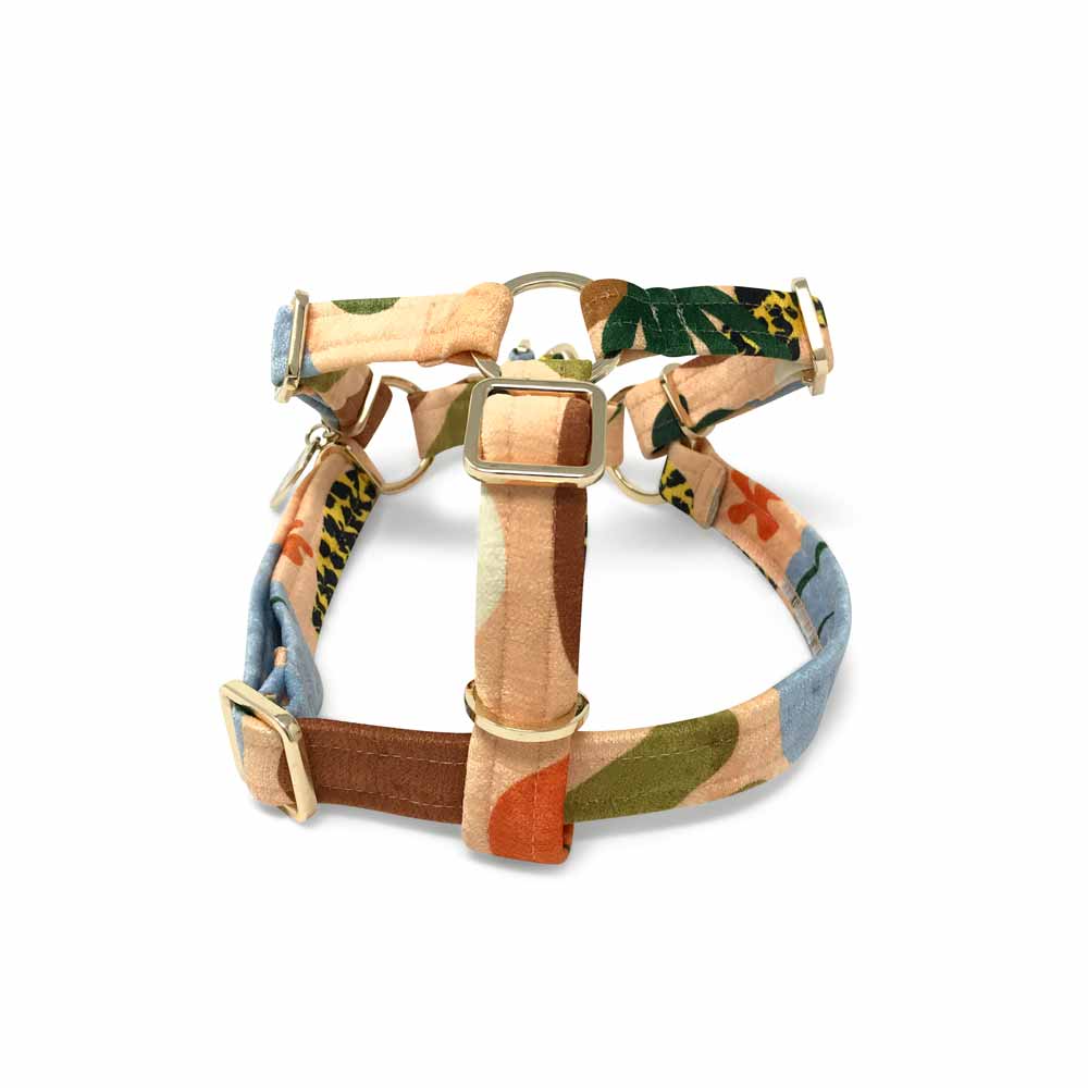 Boulder Canyon Printed Non-Pull Dog Harness - Peach