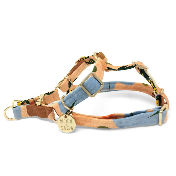 Boulder Canyon Printed Non-Pull Dog Harness - Peach