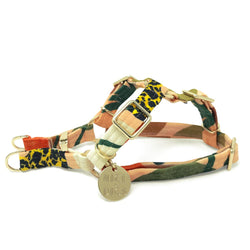 Boulder Canyon Printed Non-Pull Dog Harness - Peach