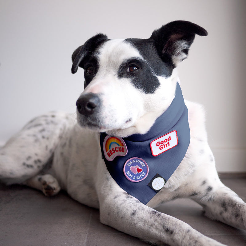 Confetti Slub Chambray Dog Bandana