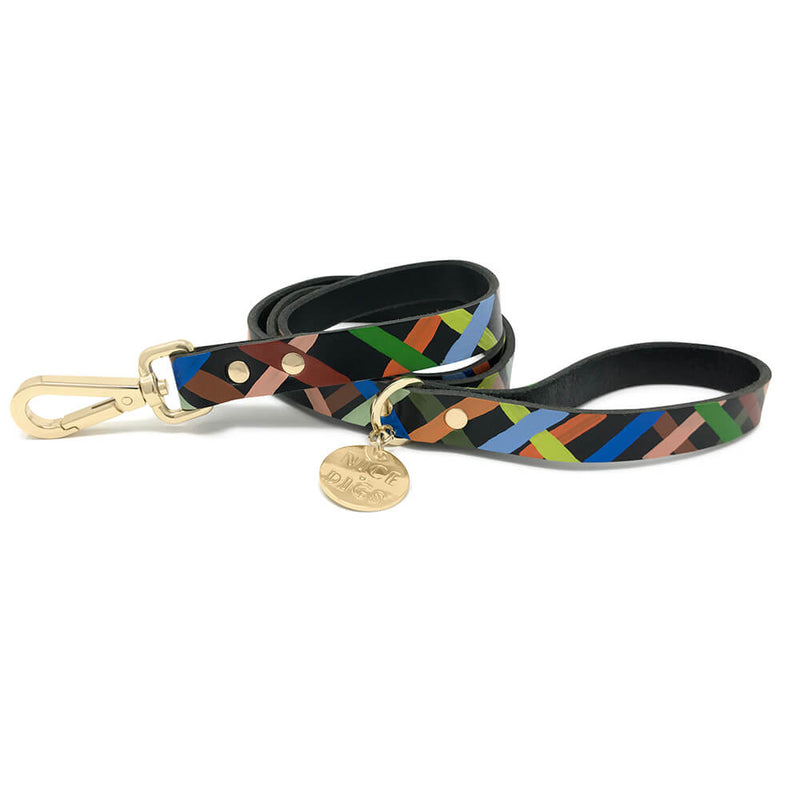 Check Me Out Leather Leash