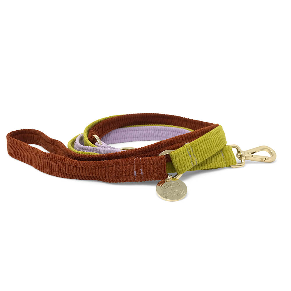 Cord Adjustable Dog Leash - Desert Bloom