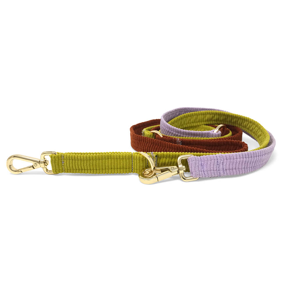 Cord Adjustable Dog Leash - Desert Bloom