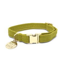 Cord Dog Collar - Cactus