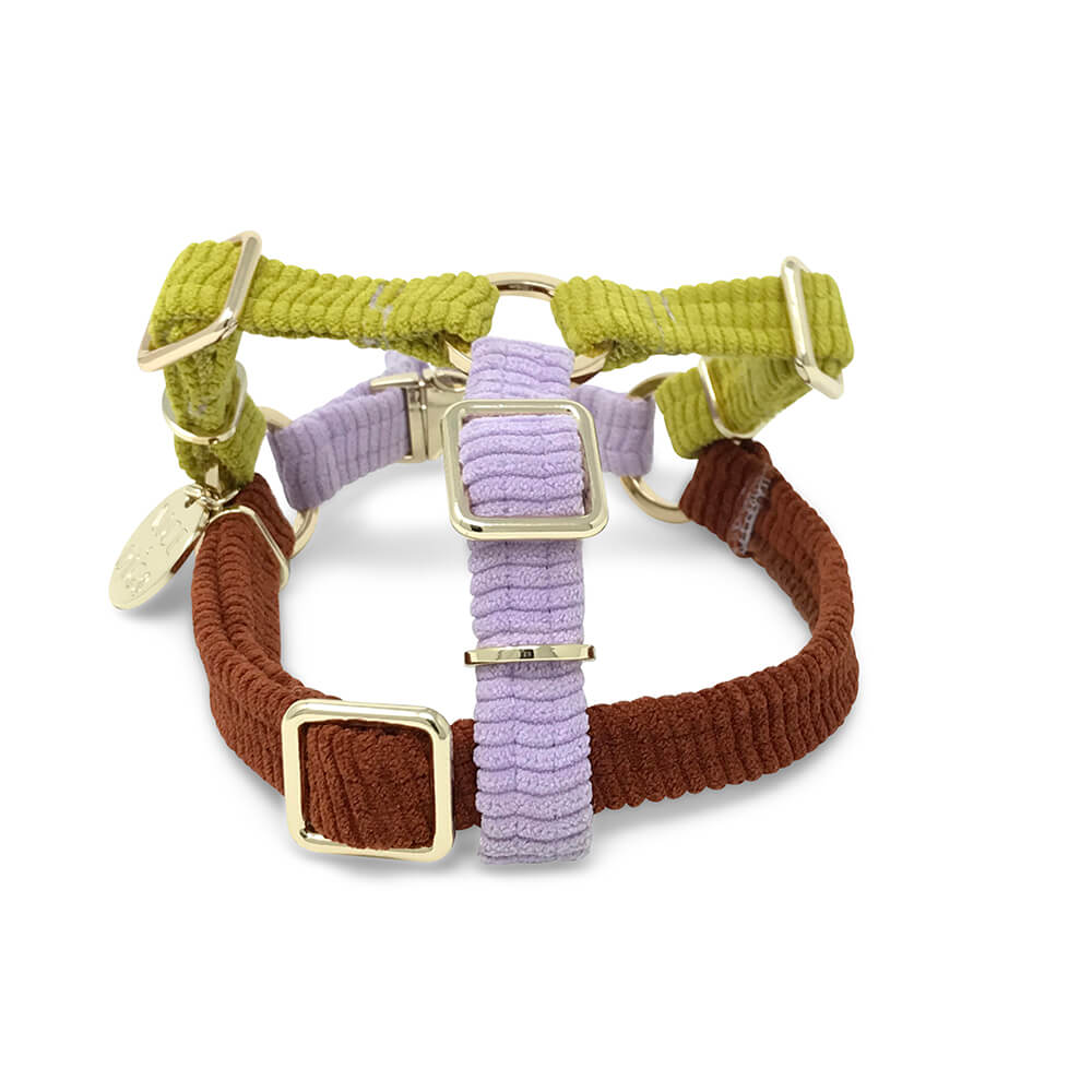 Cord Non-Pull Dog Harness - Desert Bloom