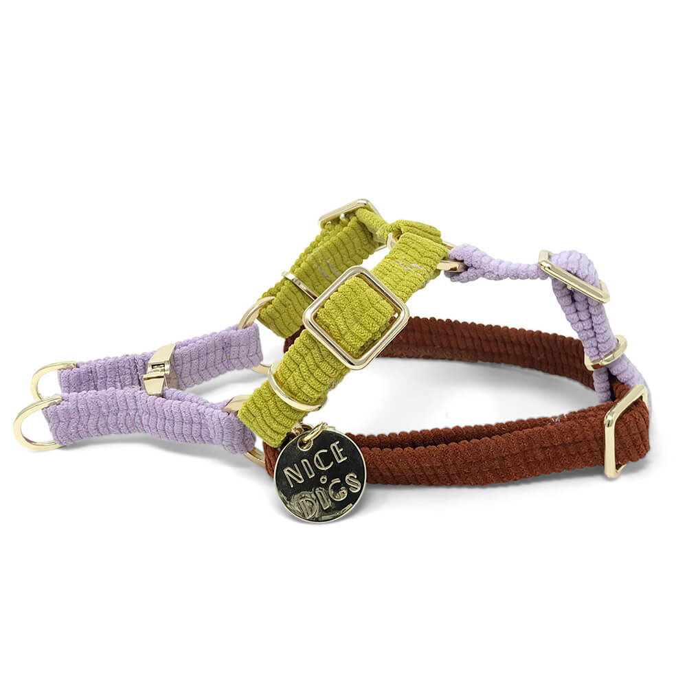 Cord Non-Pull Dog Harness - Desert Bloom