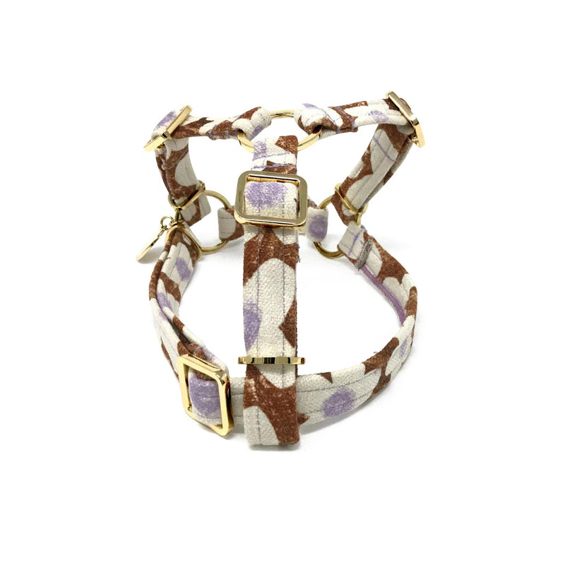 Daisy Printed Non-Pull Dog Harness - Pecan