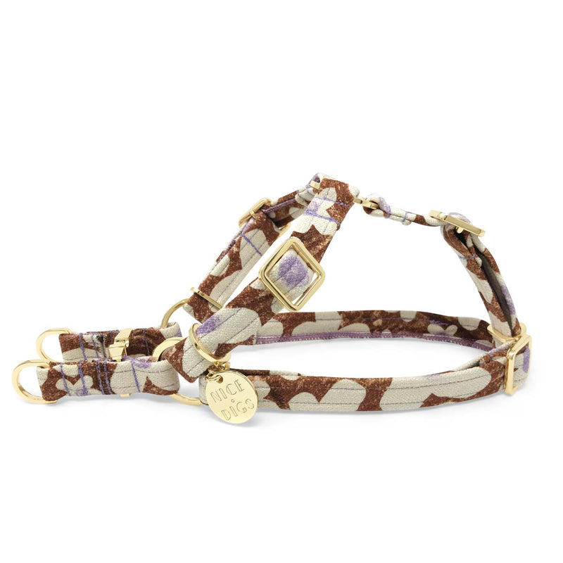 Daisy Printed Non-Pull Dog Harness - Pecan