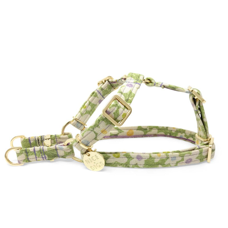 Daisy Printed Non-Pull Dog Harness - Pistachio