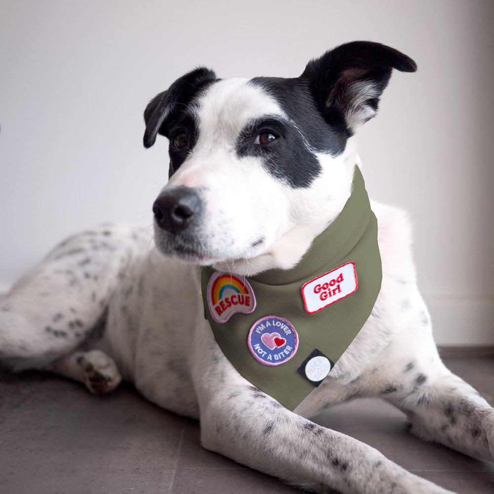 Khaki Drill Dog Bandana