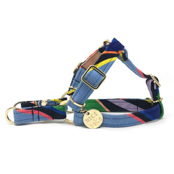 Easy Tiger Printed Non-Pull Dog Harness - Blue