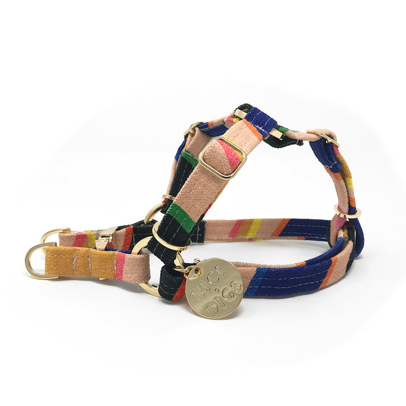 Easy Tiger Printed Non-Pull Dog Harness - Pink
