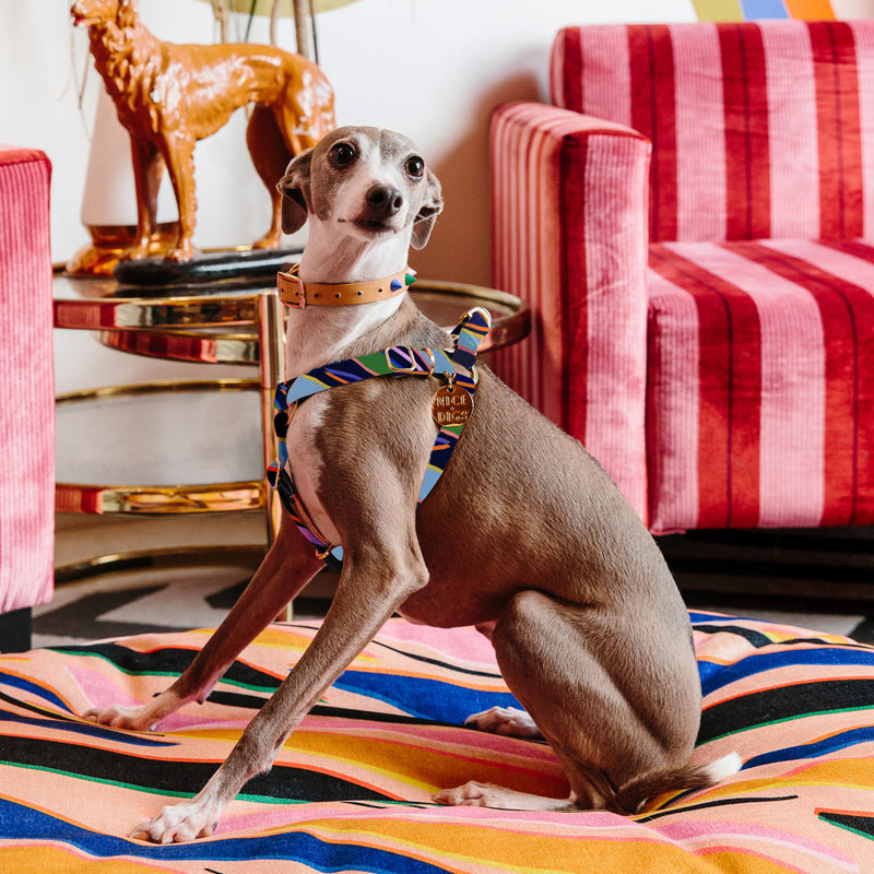 Easy Tiger Printed Non-Pull Dog Harness - Blue