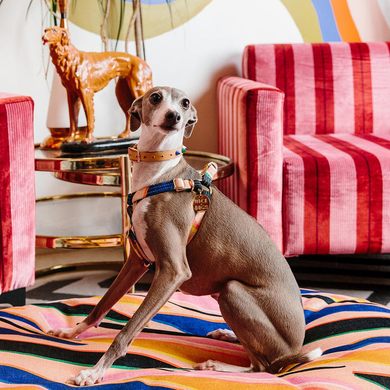 Easy Tiger Printed Non-Pull Dog Harness - Pink