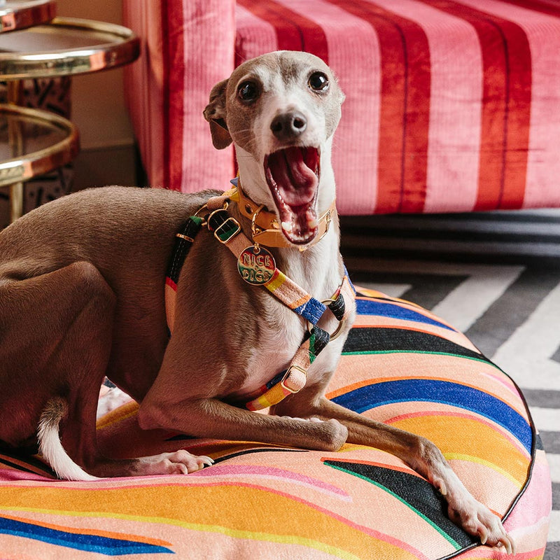 Easy Tiger Printed Non-Pull Dog Harness - Pink