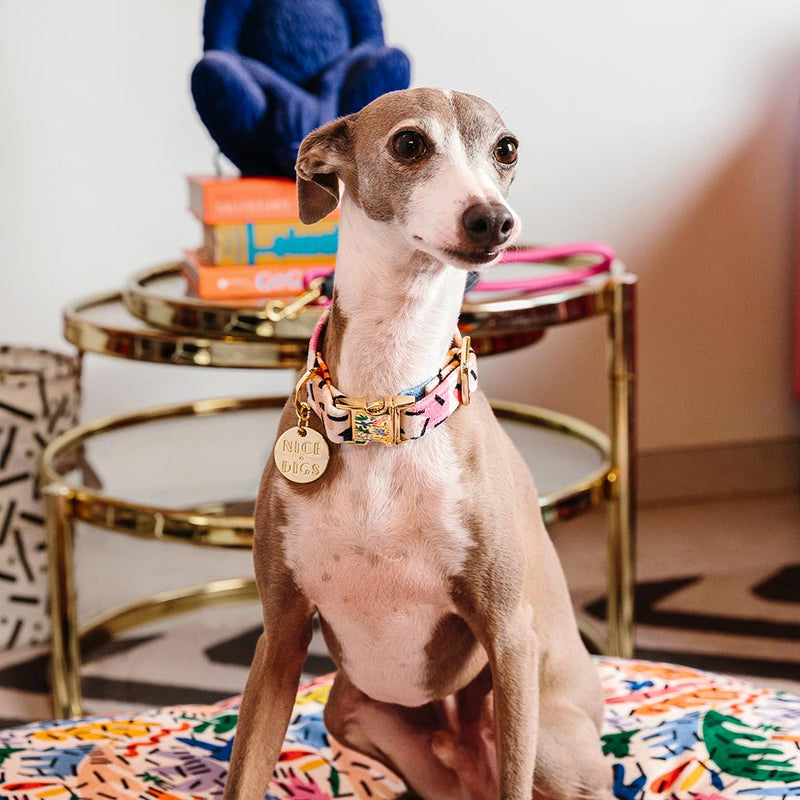 Frond of You Printed Dog Collar