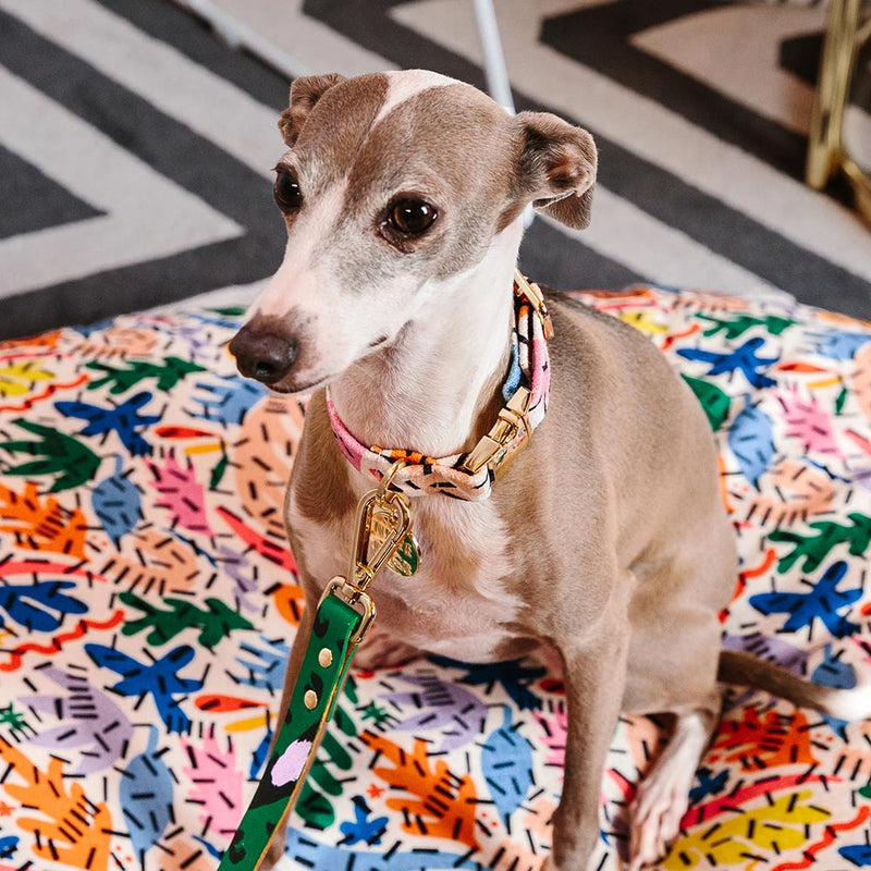Frond of You Printed Dog Collar