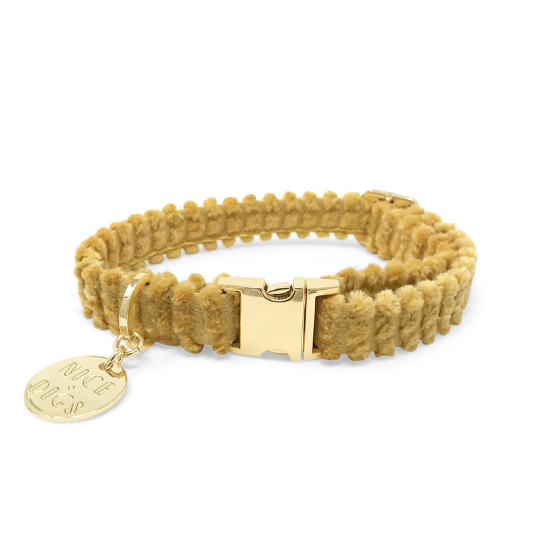 Jumbo Cord Dog Collar - Butter