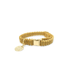 Jumbo Cord Dog Collar - Butter
