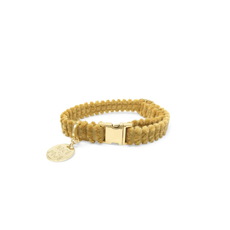 Jumbo Cord Dog Collar - Butter