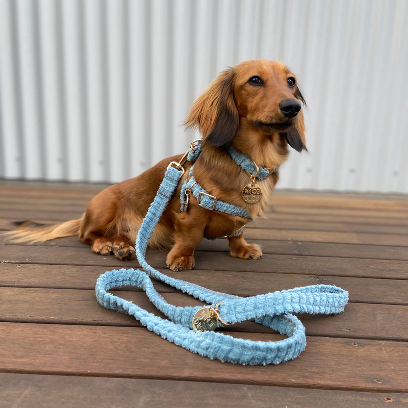 Jumbo Cord Leash - Sky