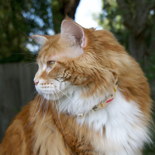 Jungle Confetti Leather Cat Collar