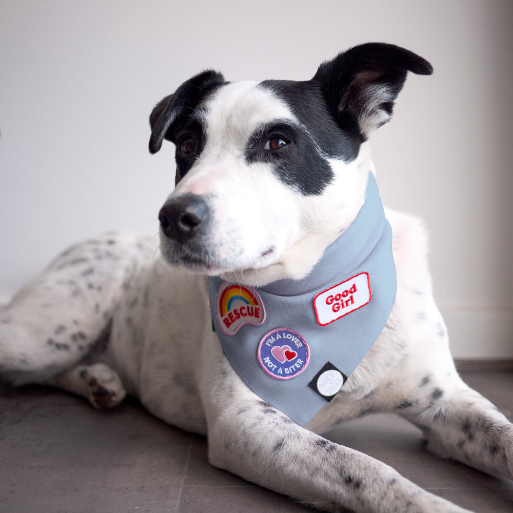 Light Chambray Dog Bandana