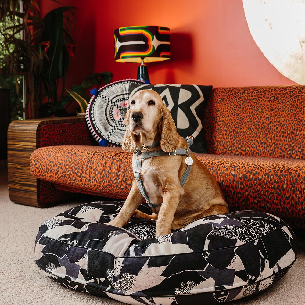 Light Denim Non-Pull Dog Harness