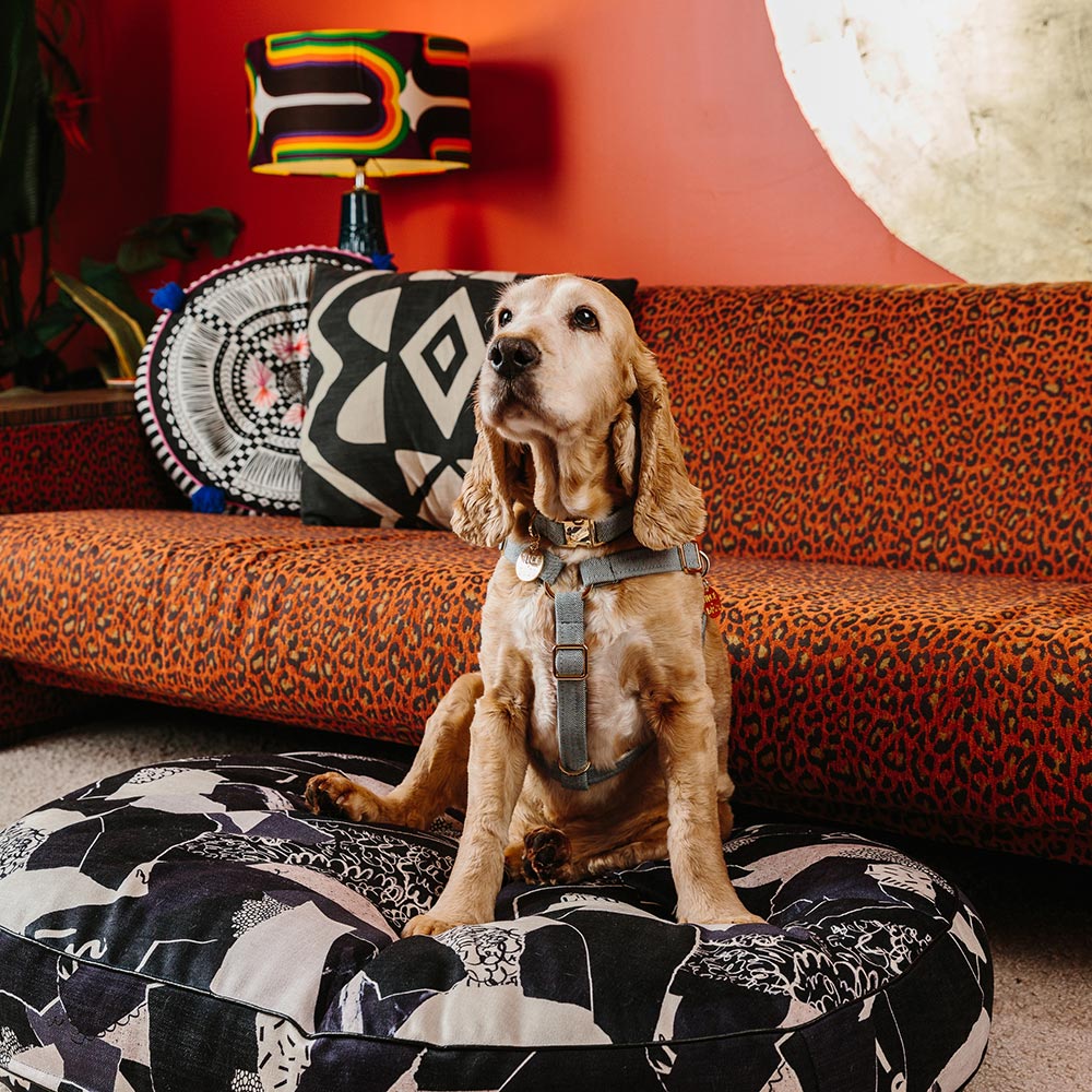 Light Denim Non-Pull Dog Harness