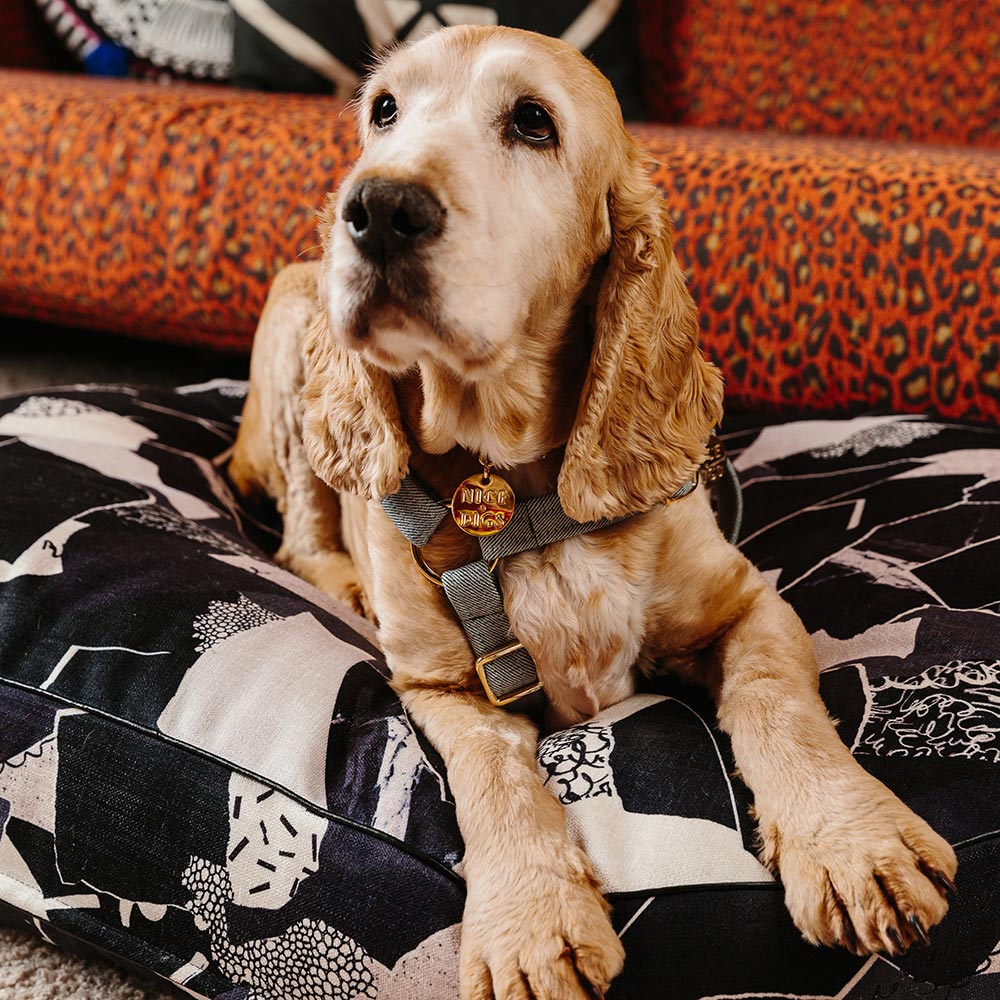 Light Denim Non-Pull Dog Harness