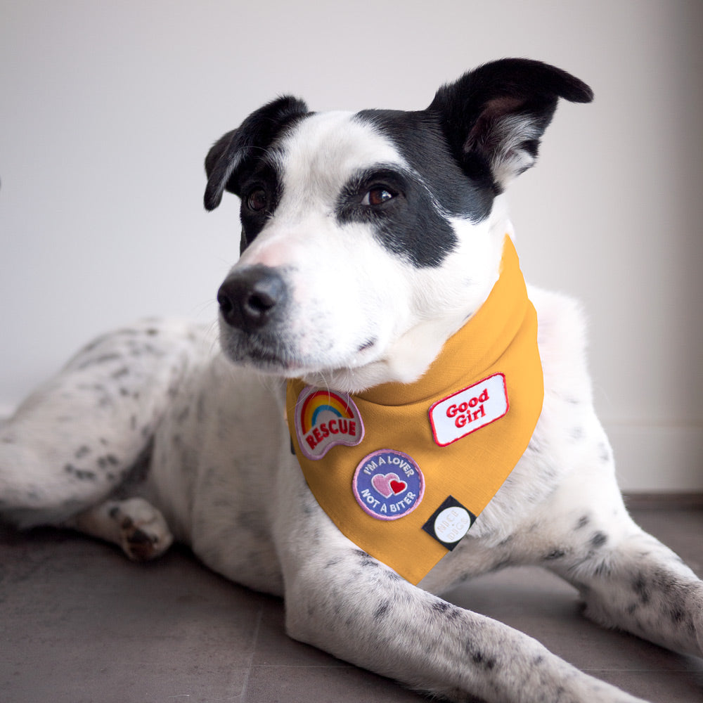 Linen Dog Bandana - Sunflower