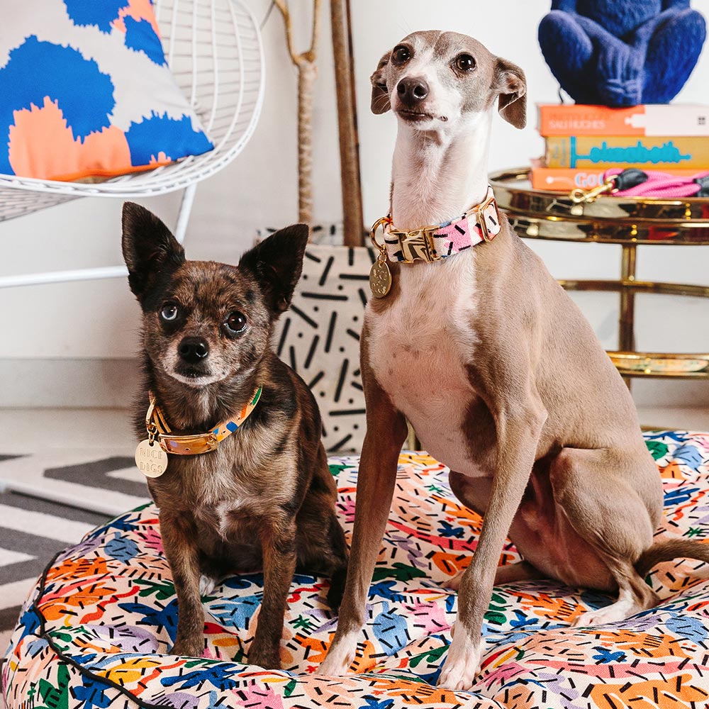 Memphis Confetti Leather Dog Collar