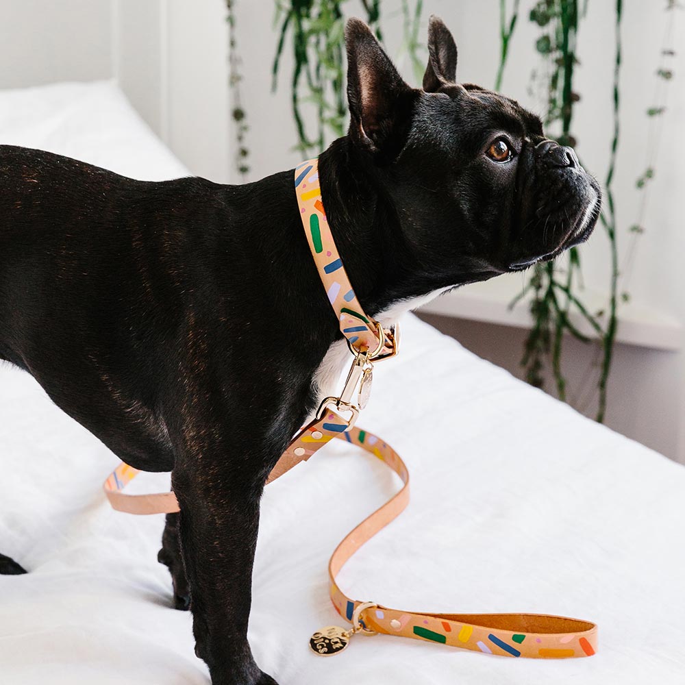 Memphis Confetti Leather Dog Collar