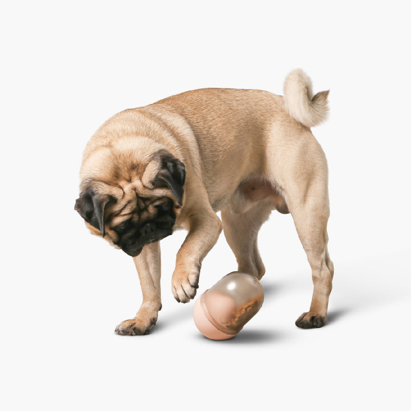 Capsule Treat Dispenser Dog Toy - Pink