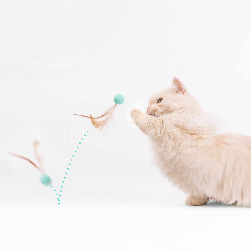 Cat Bouncy Balls