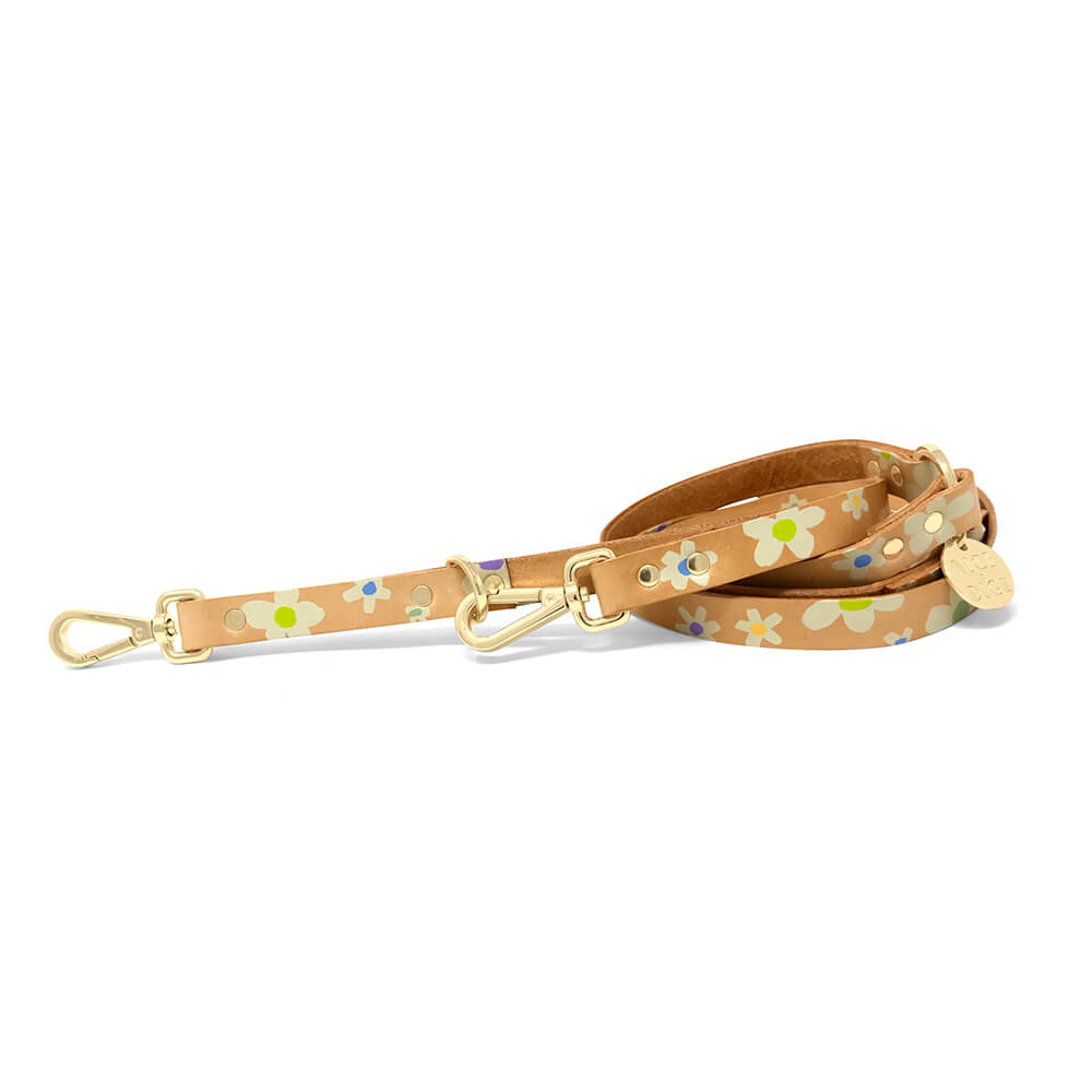 Posie Adjustable Leather Dog Leash - Spring