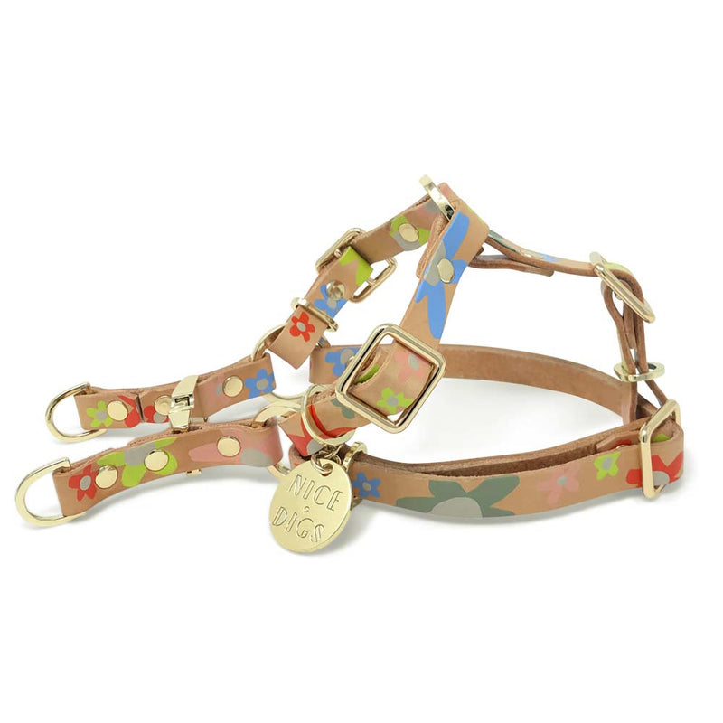 Posie Leather Non-Pull Dog Harness - Wildflower