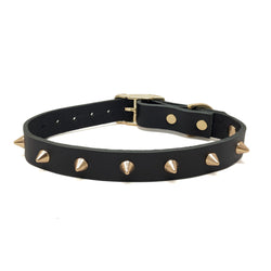 Smooth Spike Leather Dog Collar - Gold Noir