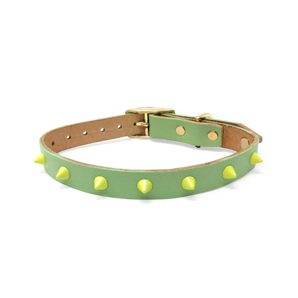Smooth Spike Leather Dog Collar - Lime Pistachio