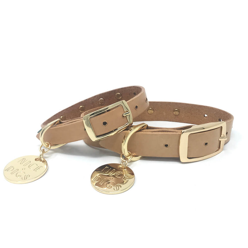 Smooth Spike Leather Dog Collar - Forest Tan
